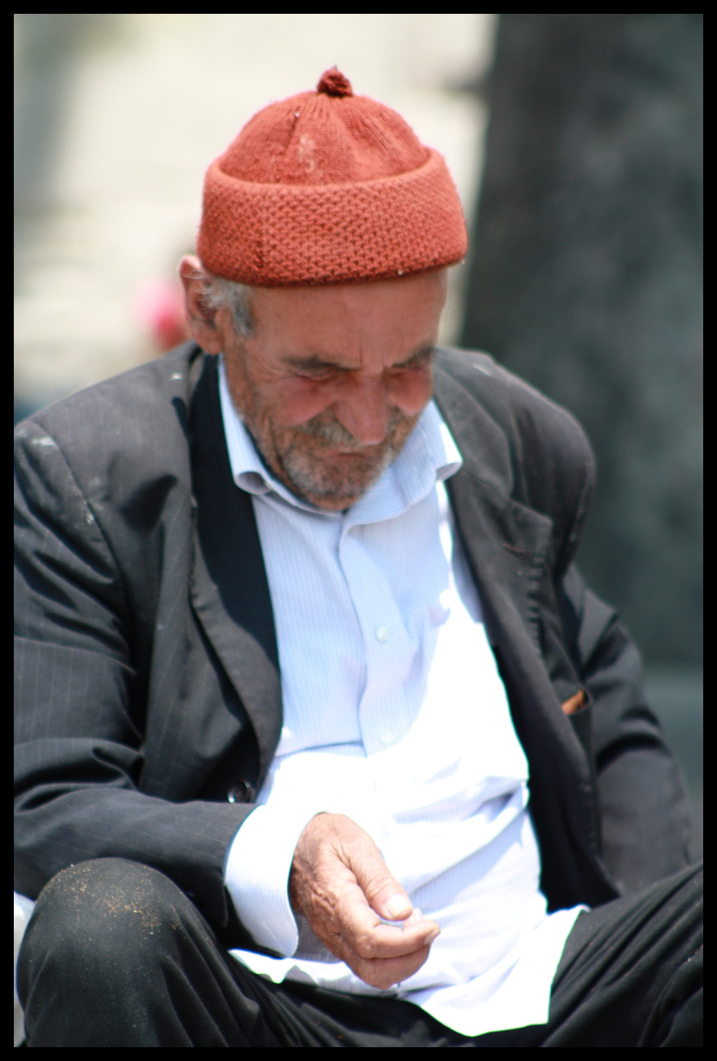 Canon EOS 450D (EOS Rebel XSi / EOS Kiss X2) + EF75-300mm f/4-5.6 sample photo. Father of pigeon.. photography