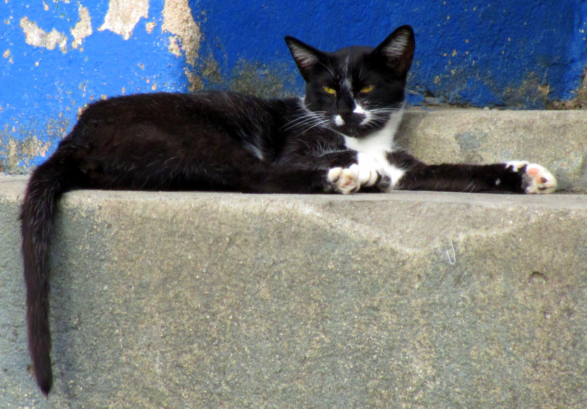 Canon PowerShot ELPH 150 IS (IXUS 155 / IXY 140) sample photo. Img photography