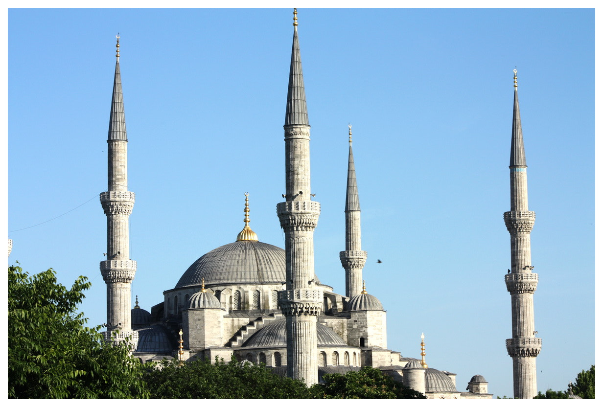 Canon EOS 450D (EOS Rebel XSi / EOS Kiss X2) + EF75-300mm f/4-5.6 sample photo. The blue mosque photography