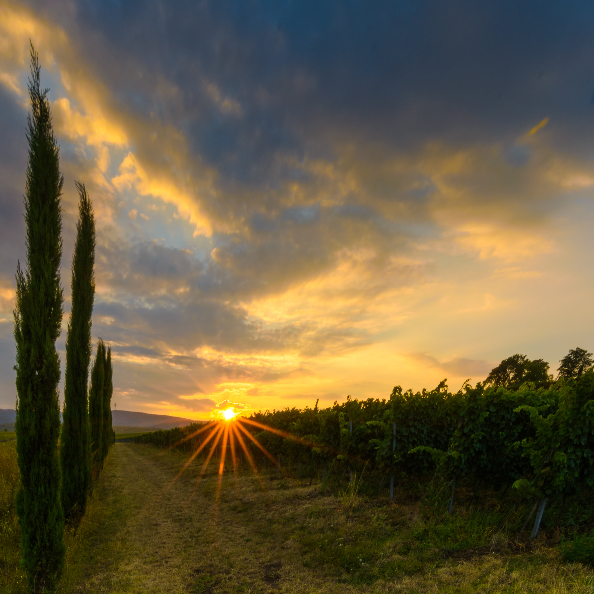 Tokina AT-X Pro 11-16mm F2.8 DX sample photo. The sunset photography
