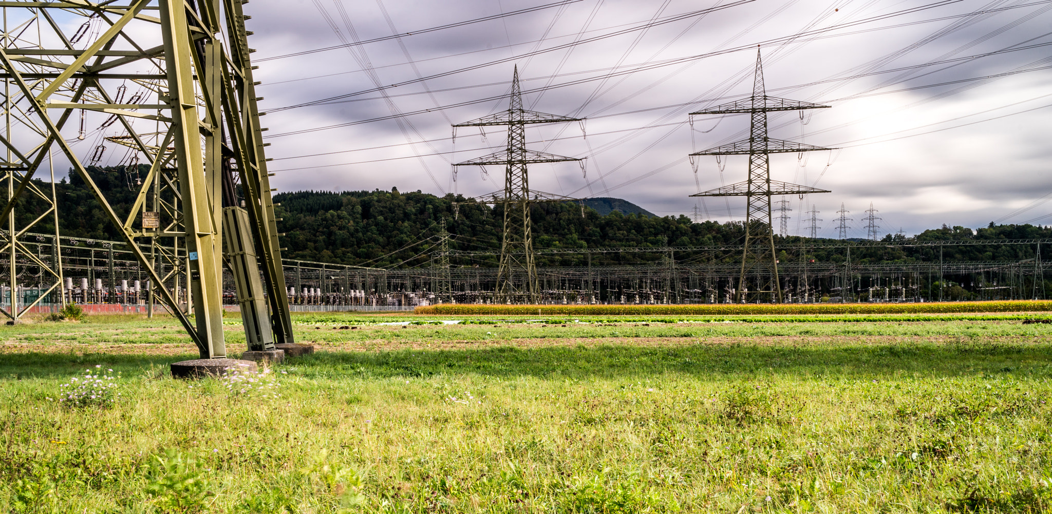 Sony a7 + Sony Distagon T* FE 35mm F1.4 ZA sample photo. Agriculture under the power lines photography