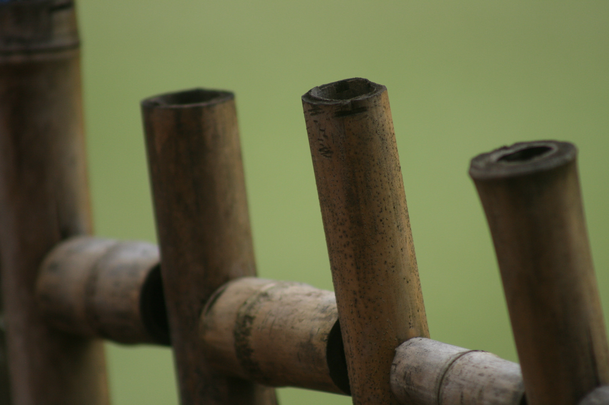 Canon EF 75-300mm f/4-5.6 USM sample photo. 23-10 832.jpg photography
