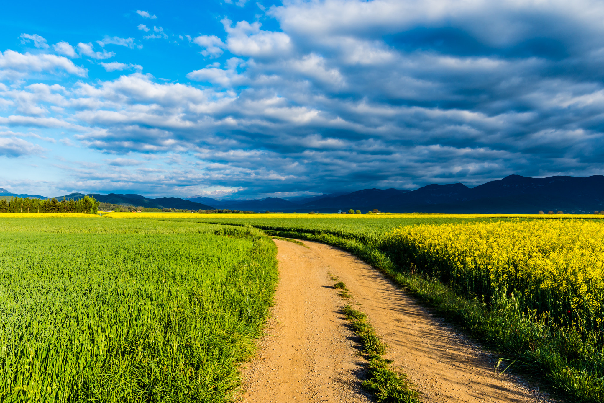 Nikon AF-S Nikkor 18-35mm F3.5-4.5G ED sample photo. Where the roads go to... photography