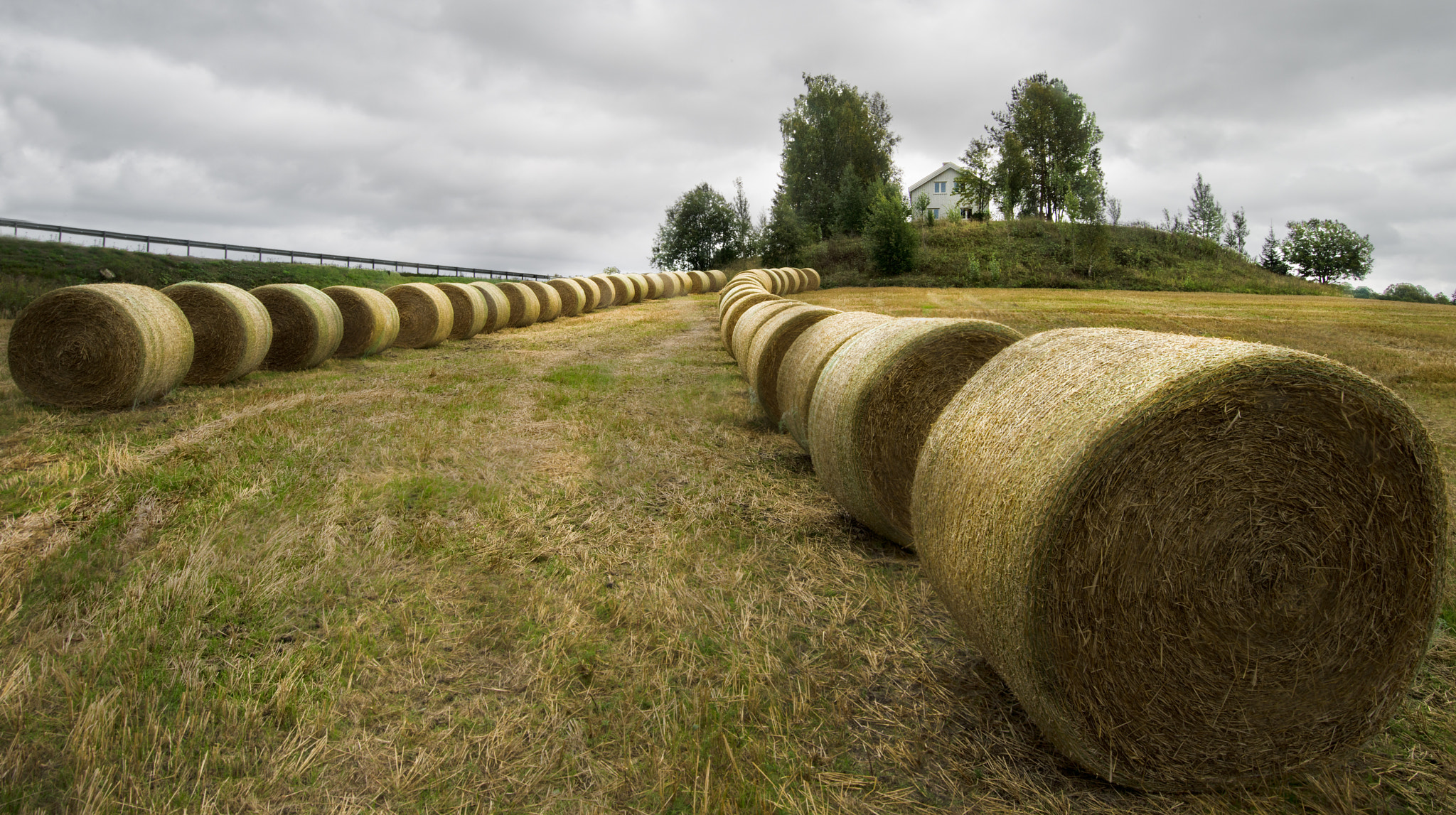 Pentax 645D sample photo. Straw rolls photography