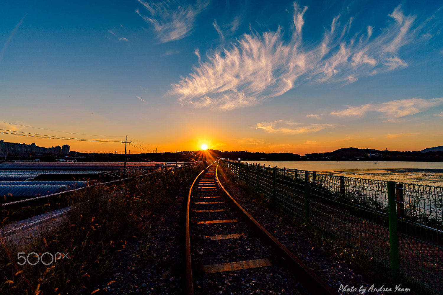 Nikon D5 sample photo. Sun shine on the rail-bike road photography
