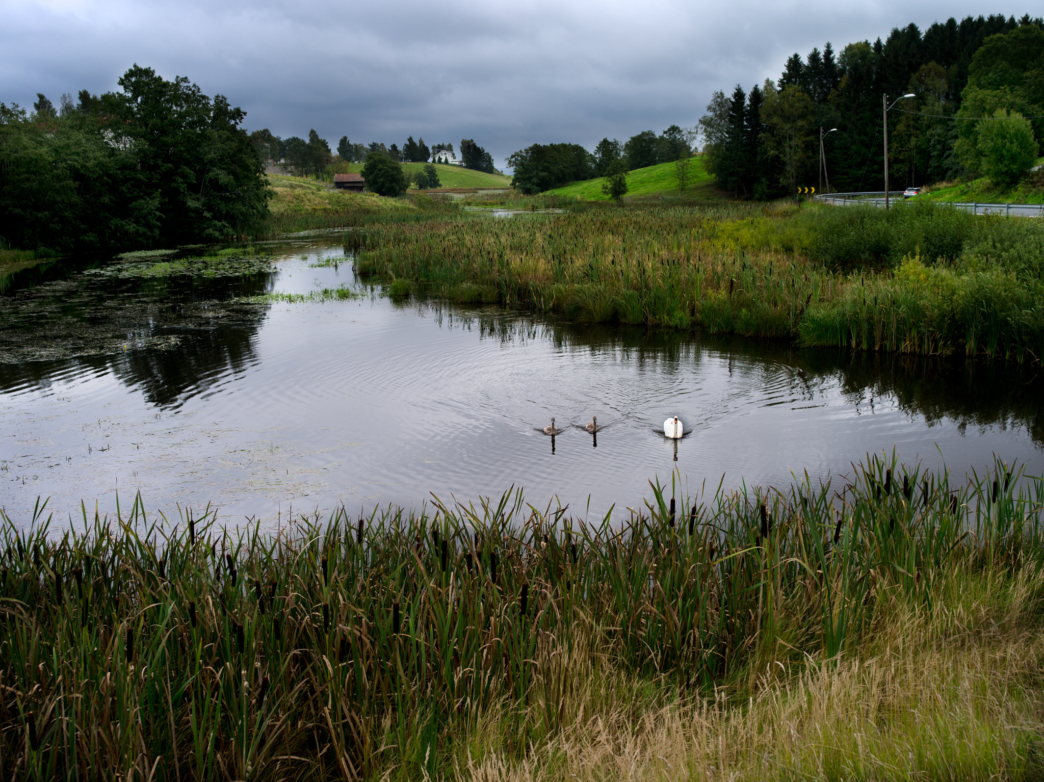 Pentax 645D sample photo. Peace and tranquility photography