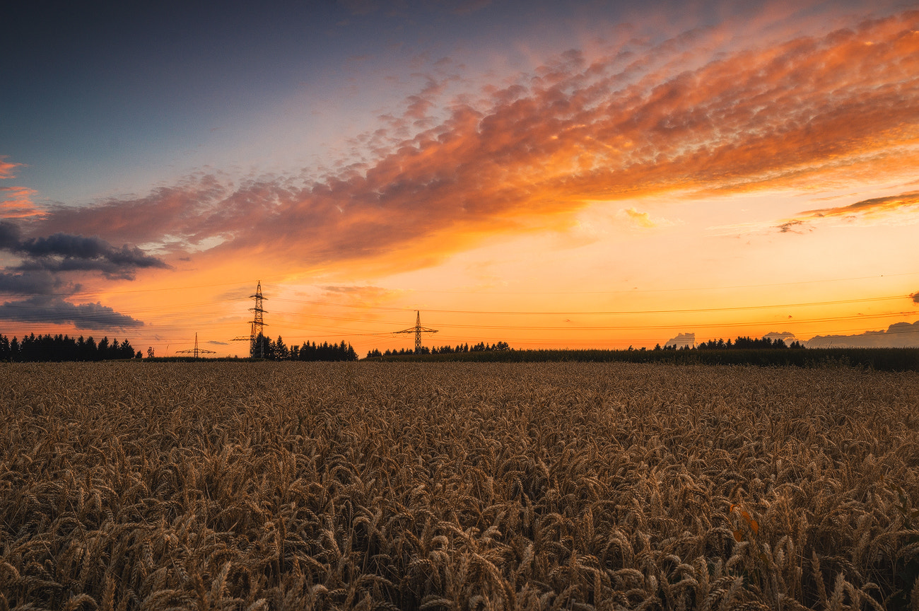Sony SLT-A57 sample photo. Golden evening photography