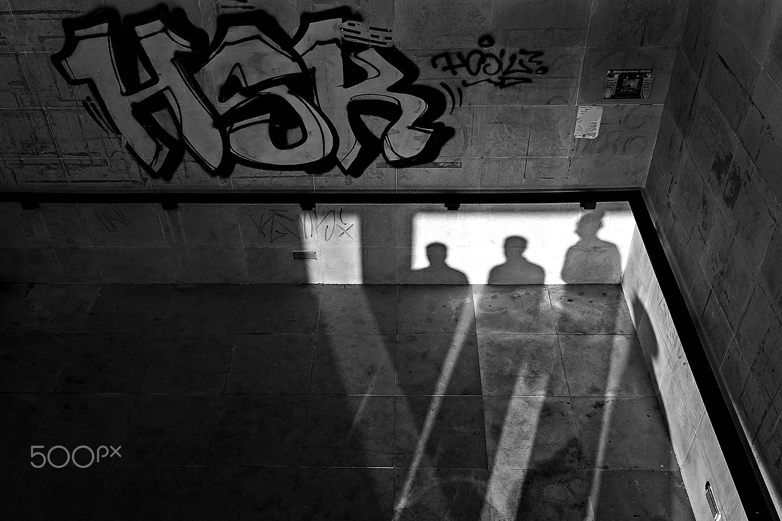Canon EOS 500D (EOS Rebel T1i / EOS Kiss X3) sample photo. Sculpted by light. photography
