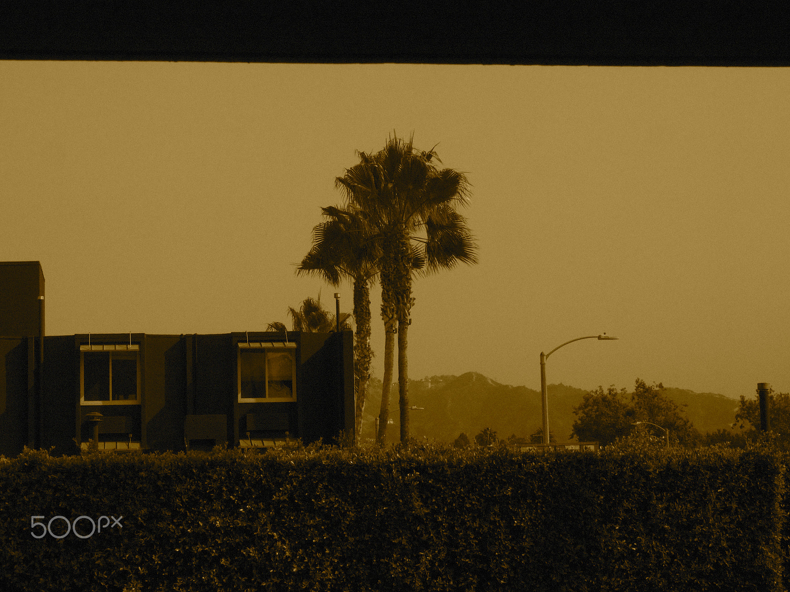 Olympus M.Zuiko Digital 14-42mm F3.5-5.6 II R sample photo. View from the motel in hollywood photography