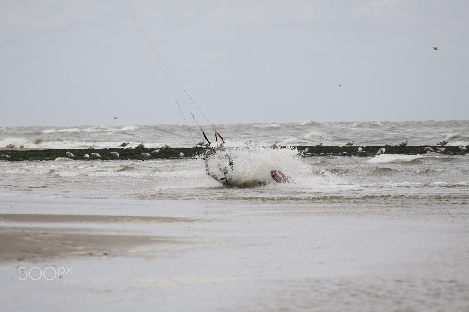 Canon EOS 50D sample photo. Slide of a kite surfer photography