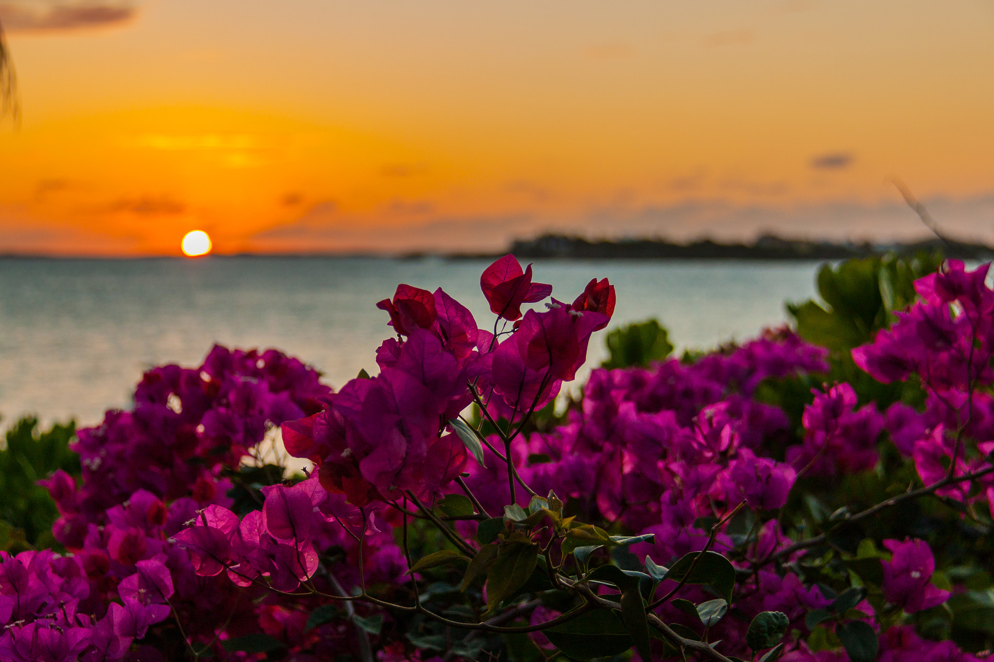 Canon EOS 500D (EOS Rebel T1i / EOS Kiss X3) sample photo. Caribbean sunset photography