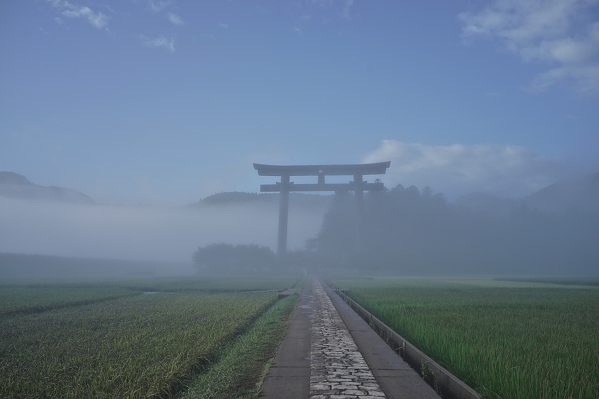 Sony Cyber-shot DSC-RX1R + Sony 35mm F2.0 sample photo. Torii in the fog photography