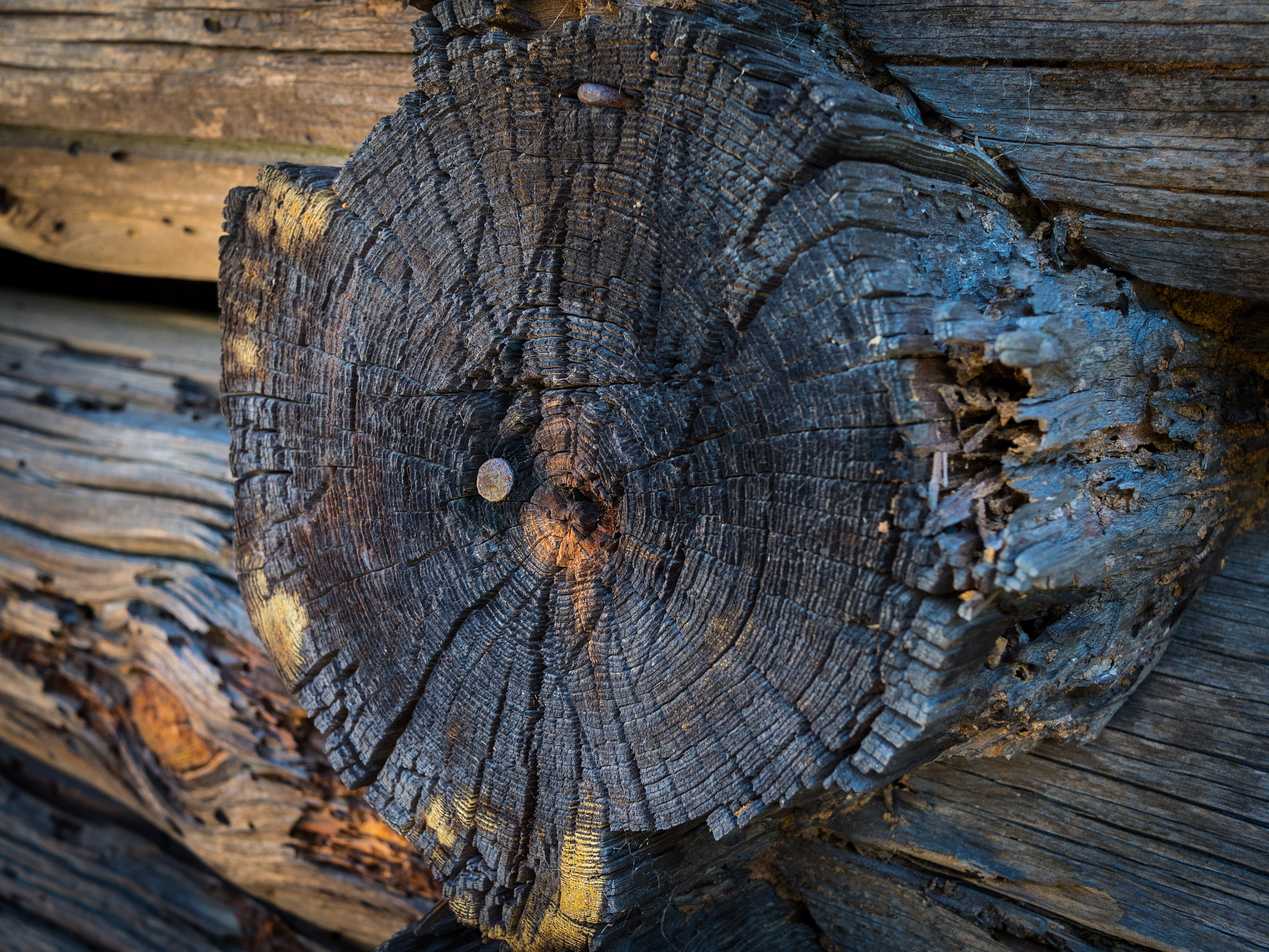 Olympus OM-D E-M5 II + LUMIX G 20/F1.7 II sample photo. Scandinavian notch photography