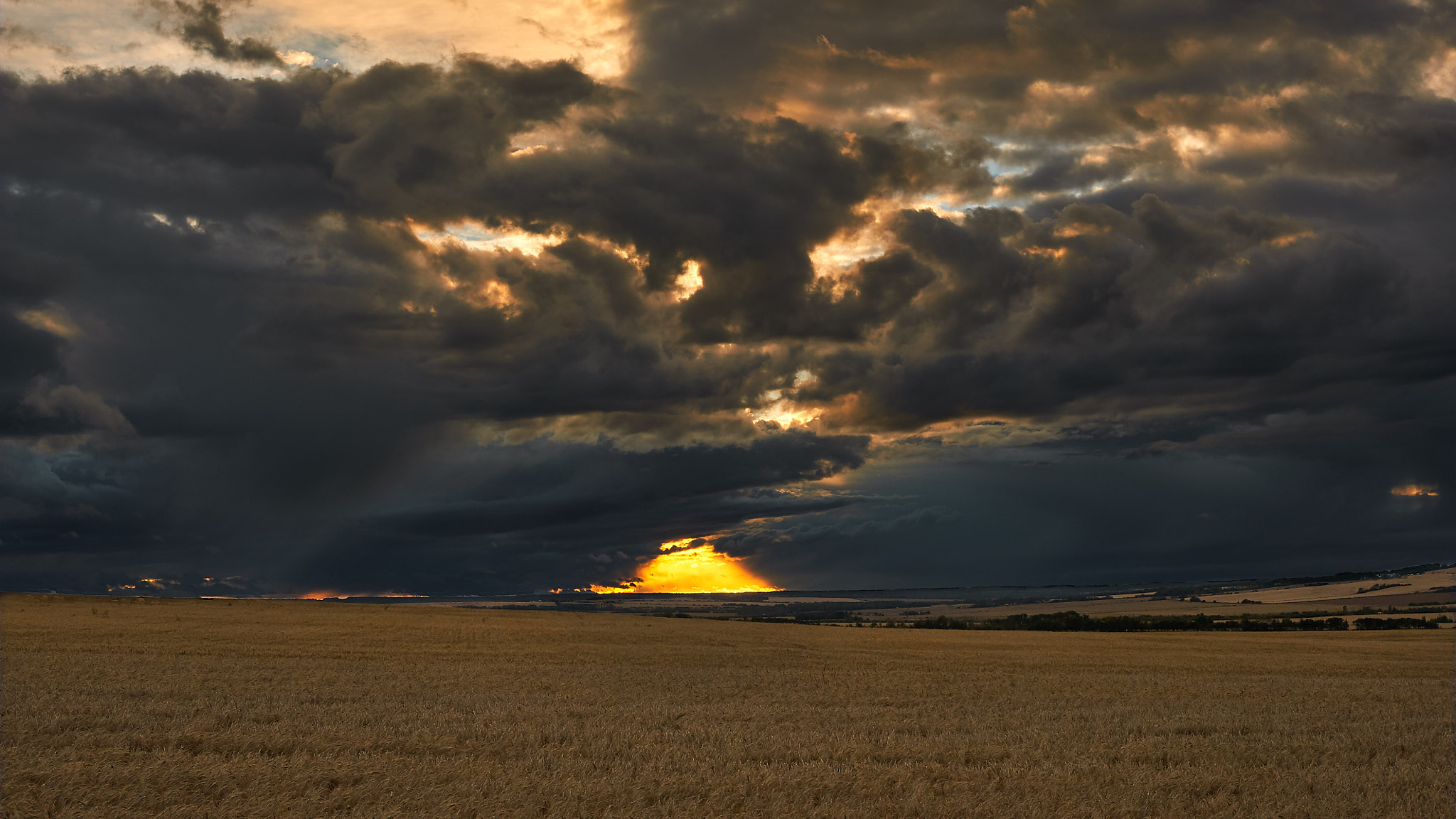 Nikon AF-S Nikkor 50mm F1.4G sample photo. Sunset clouds over ripe wheat field photography