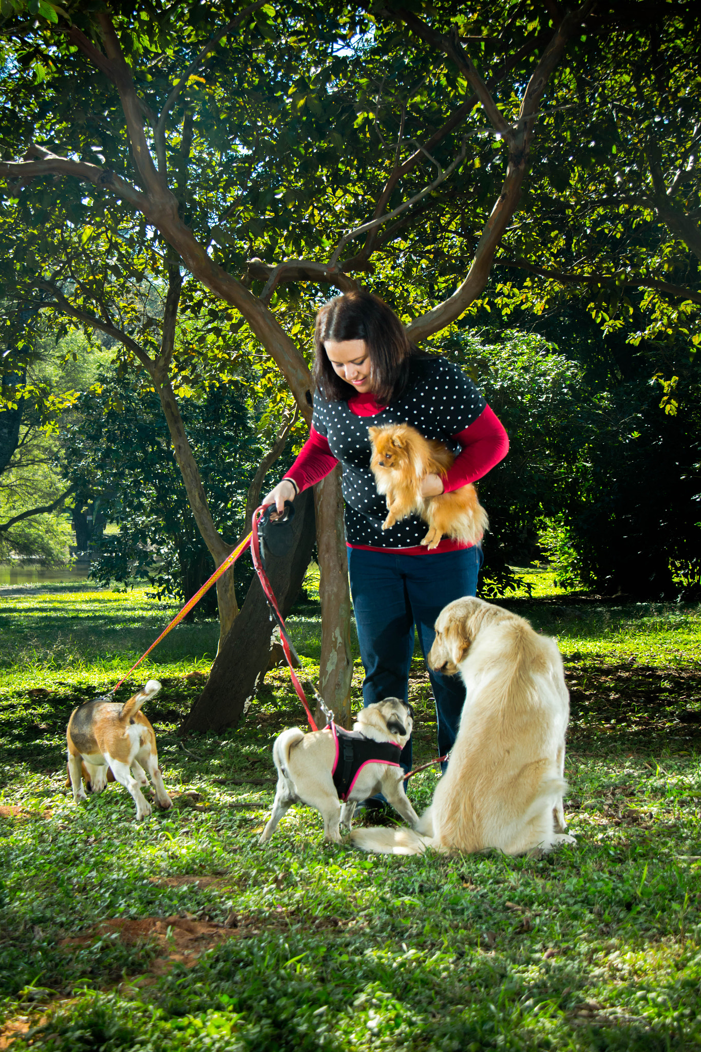 Canon EOS 650D (EOS Rebel T4i / EOS Kiss X6i) sample photo. Dog lover photography