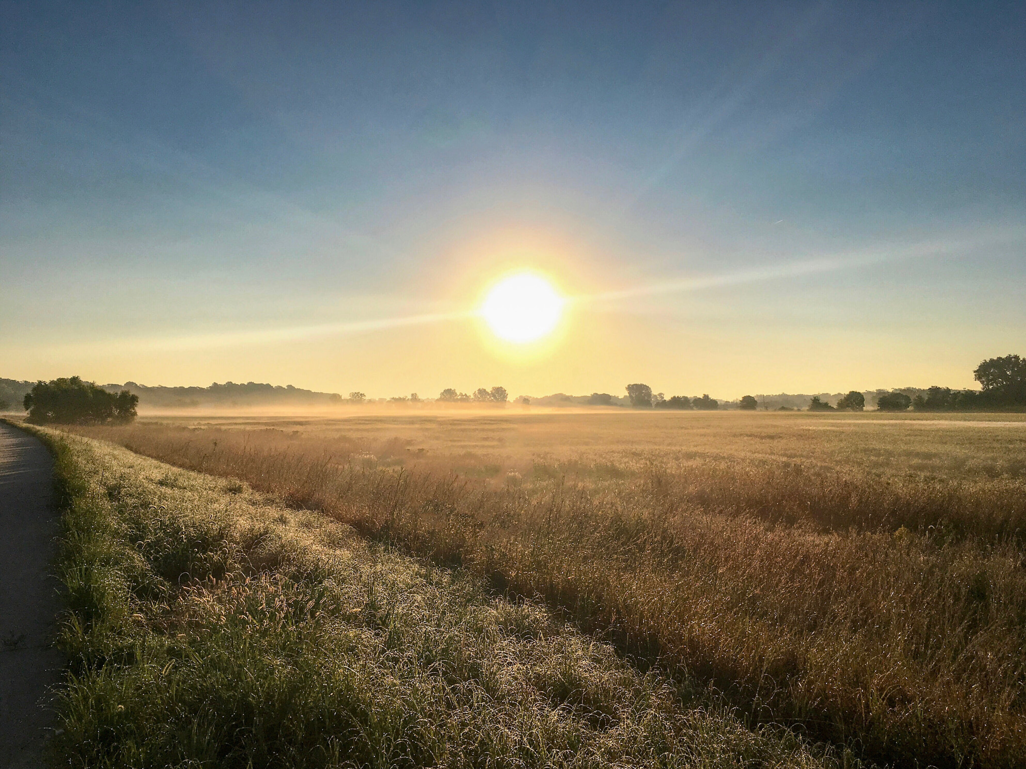 Jag.gr 645 PRO Mk III for Apple iPhone SE + iPhone SE back camera 4.15mm f/2.2 sample photo. Awesome iowa sunrise this morning! photography