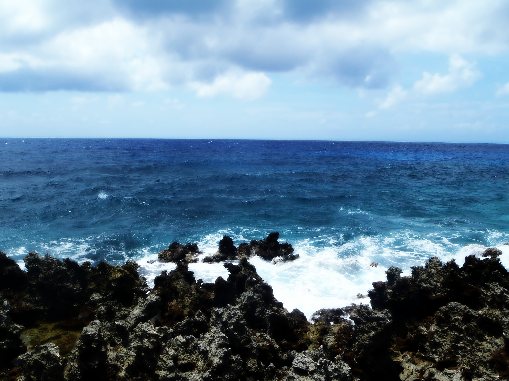 Olympus TG-310 sample photo. Coral beach - roatan  photography