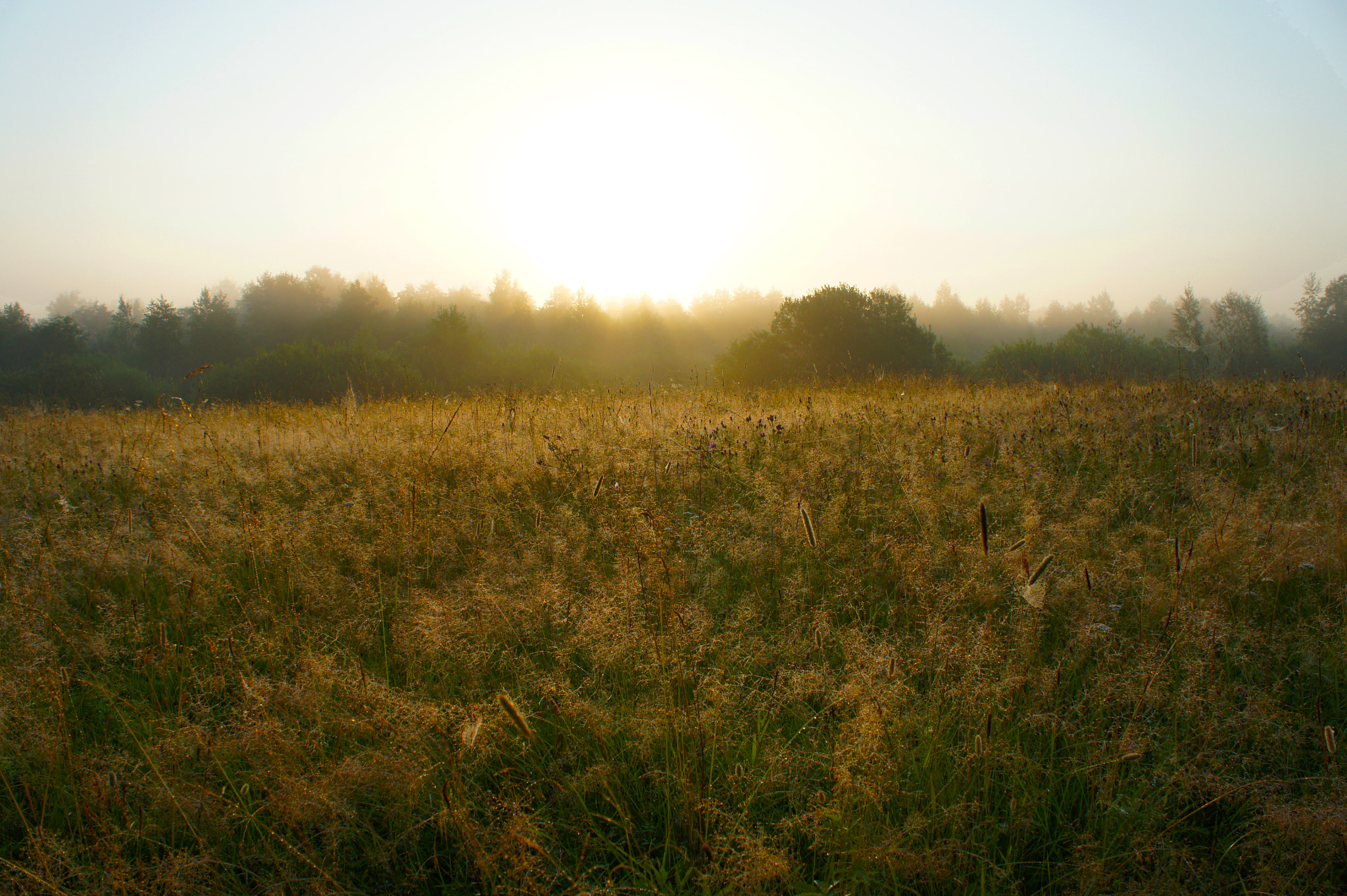 Sony Alpha NEX-3 sample photo. Morning lands photography