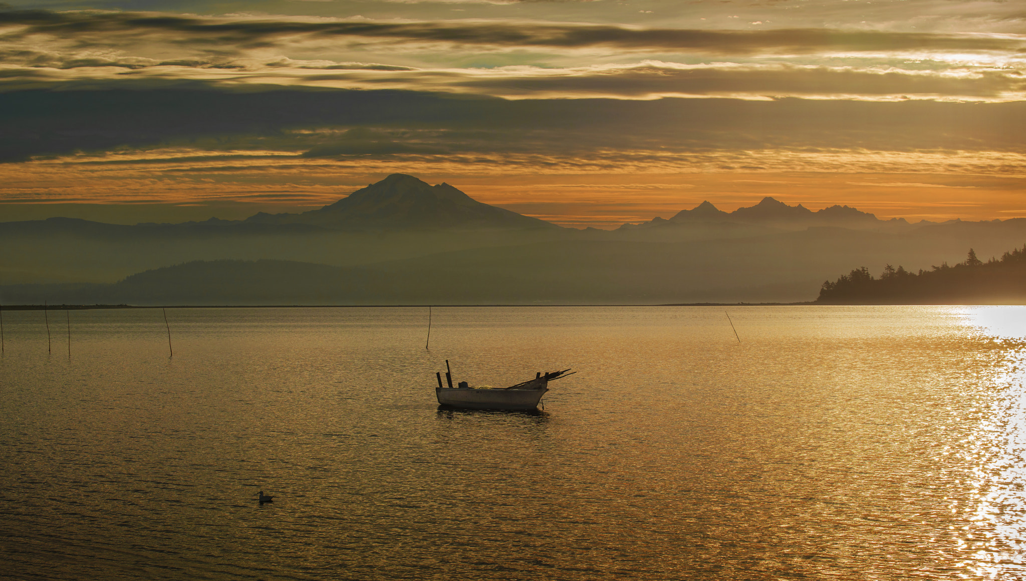 AF-S Zoom-Nikkor 80-200mm f/2.8D IF-ED sample photo. Morning calm photography
