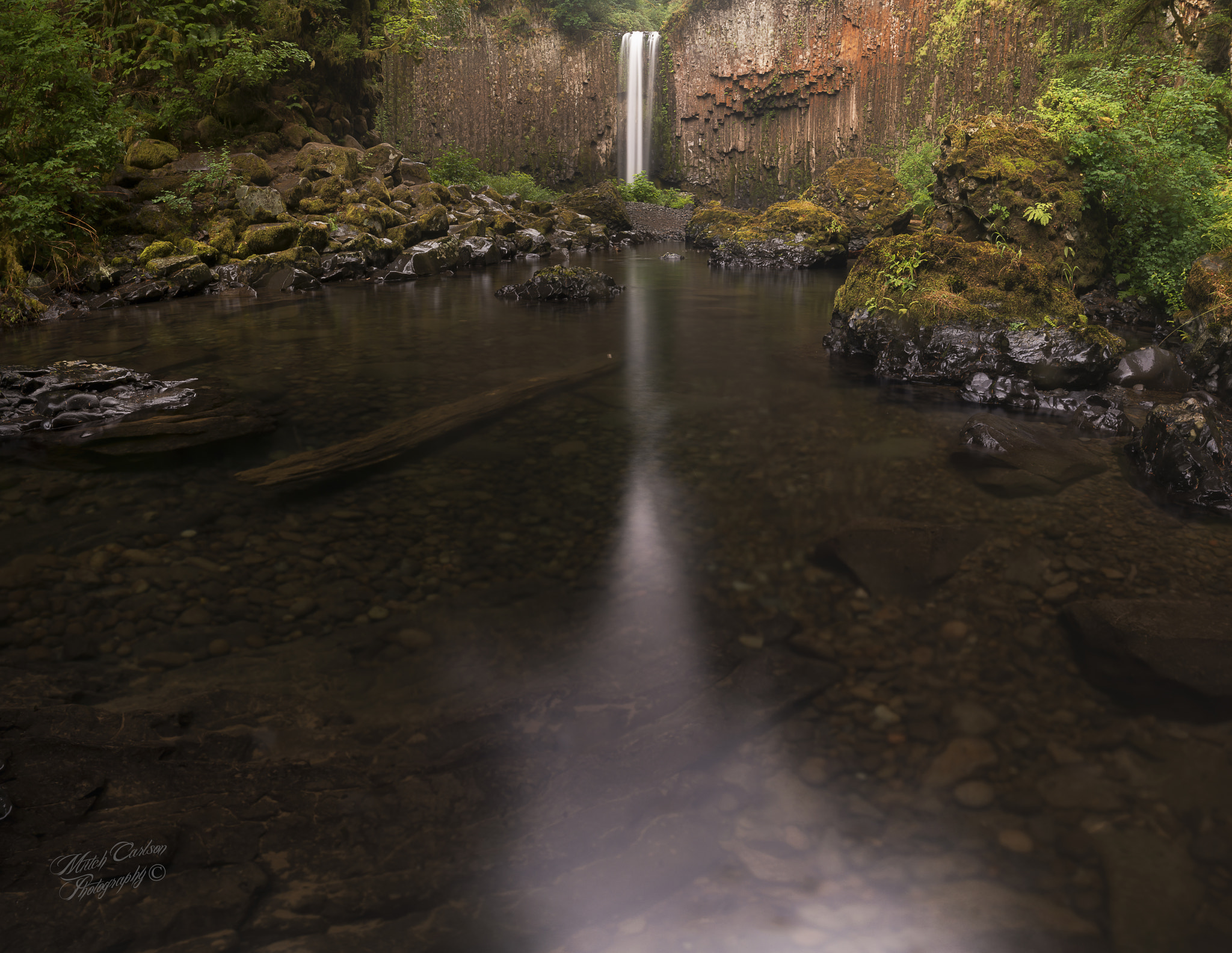 Nikon AF-S Nikkor 18-35mm F3.5-4.5G ED sample photo. Old friend photography