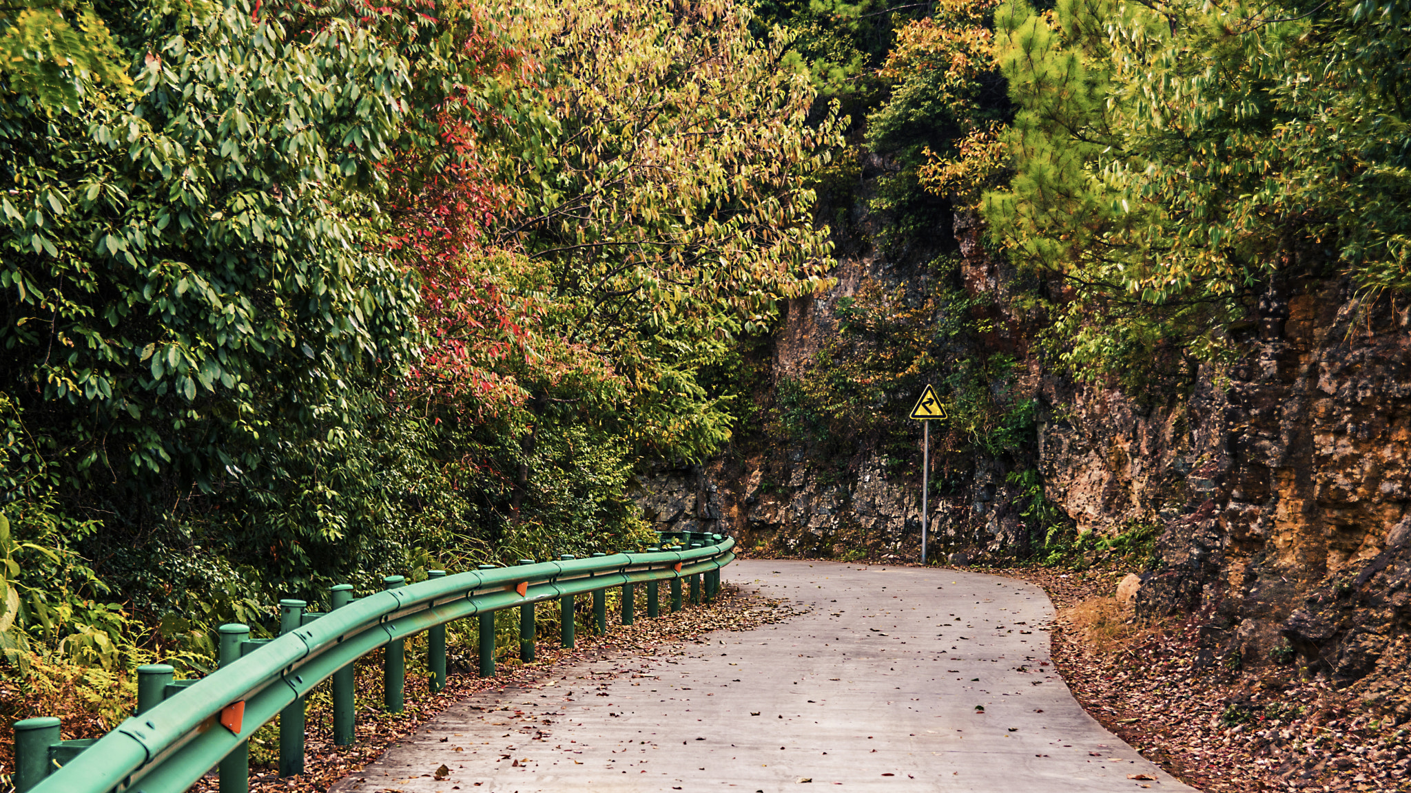 Sony ILCA-77M2 + 17-50mm F2.8 sample photo. Autumn comes to the hill photography