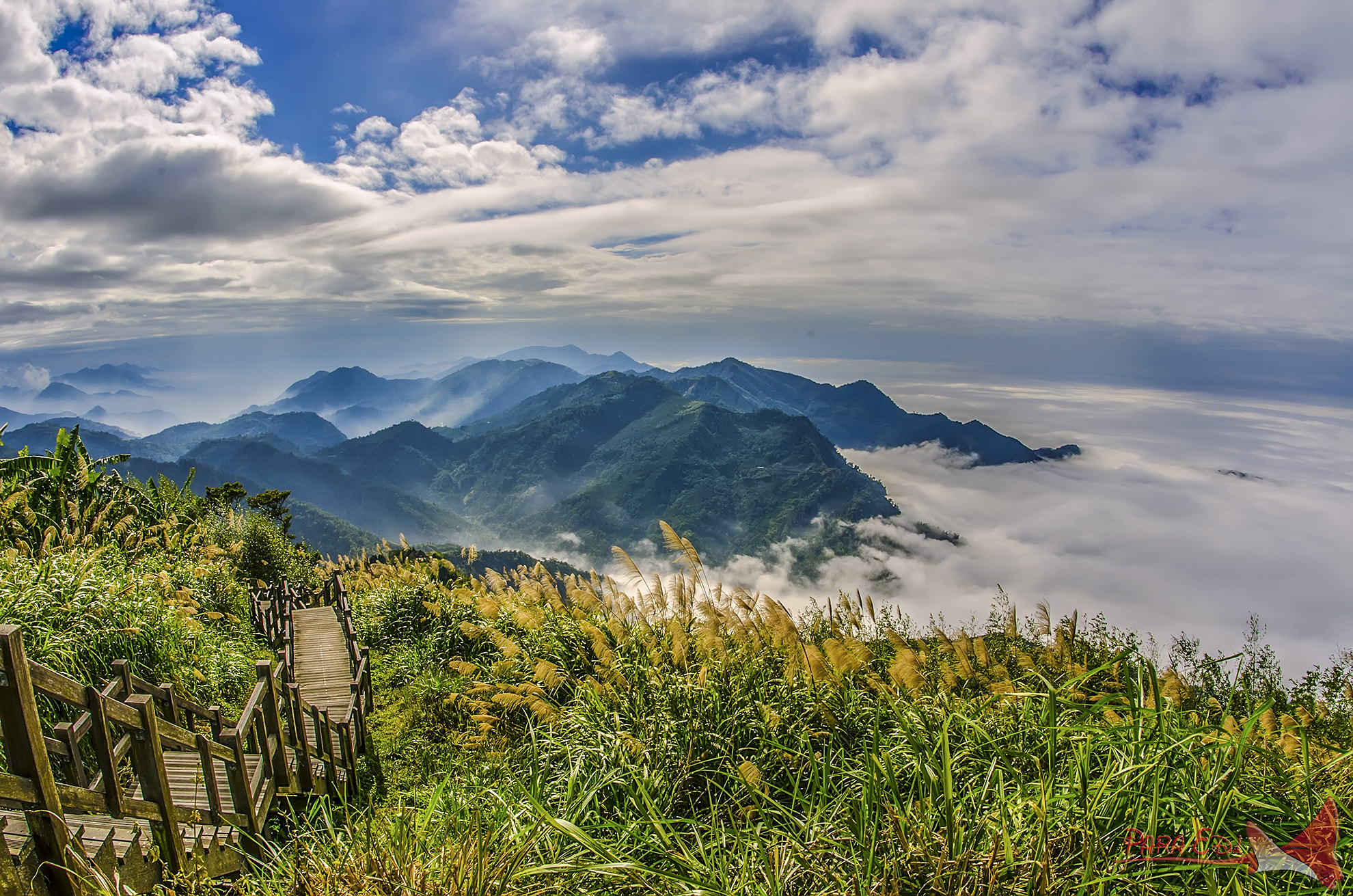Nikon D7000 + Nikon AF Fisheye-Nikkor 16mm F2.8D sample photo. Xi-ding photography