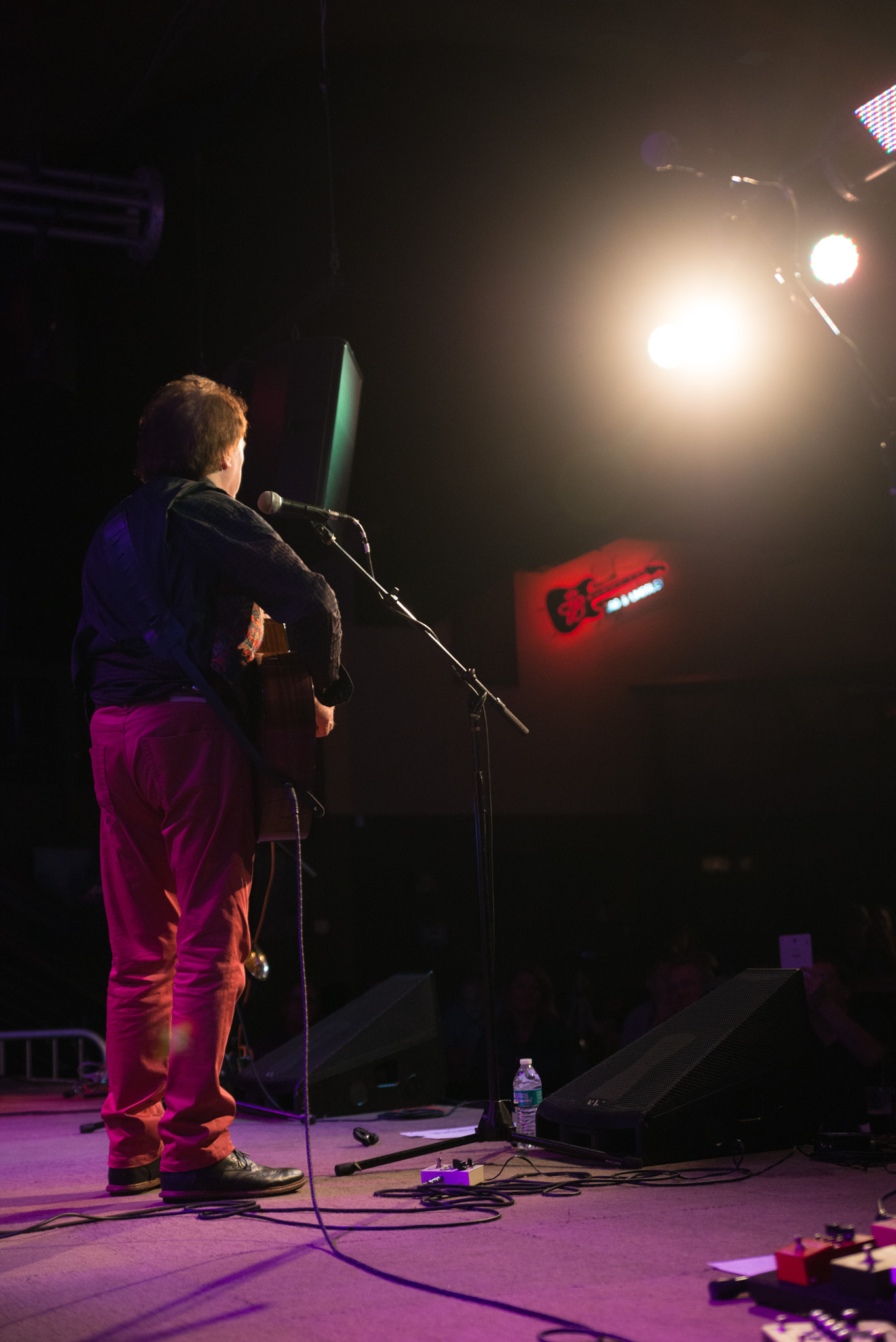 Nikon D800E sample photo. Denny laine and wings photography