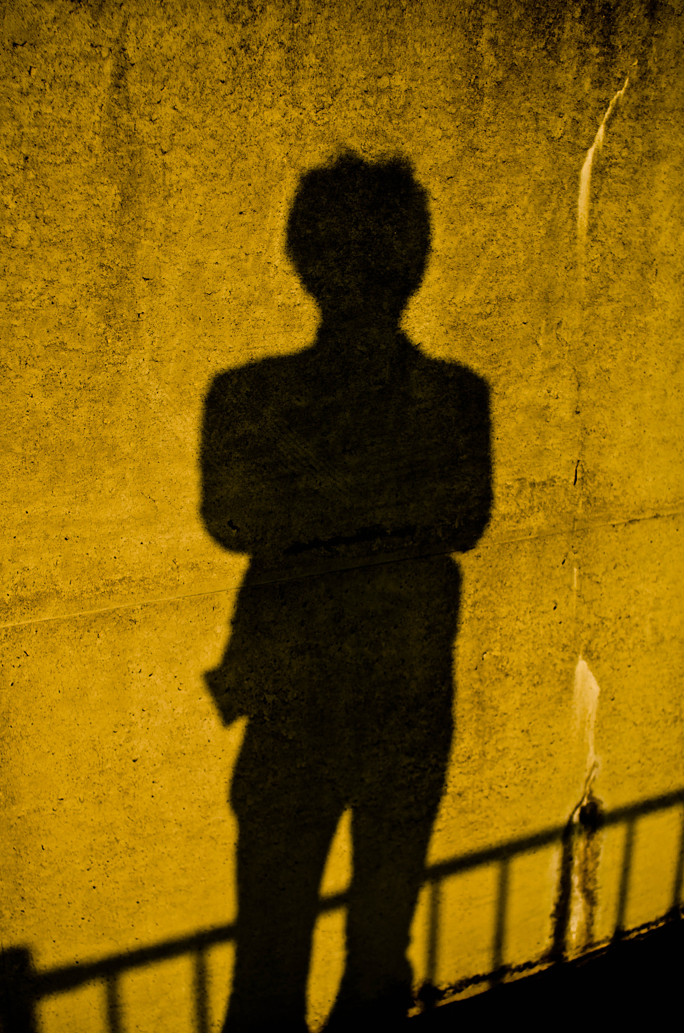 Nikon D7000 + AF Nikkor 28mm f/2.8 sample photo. My shadow photography