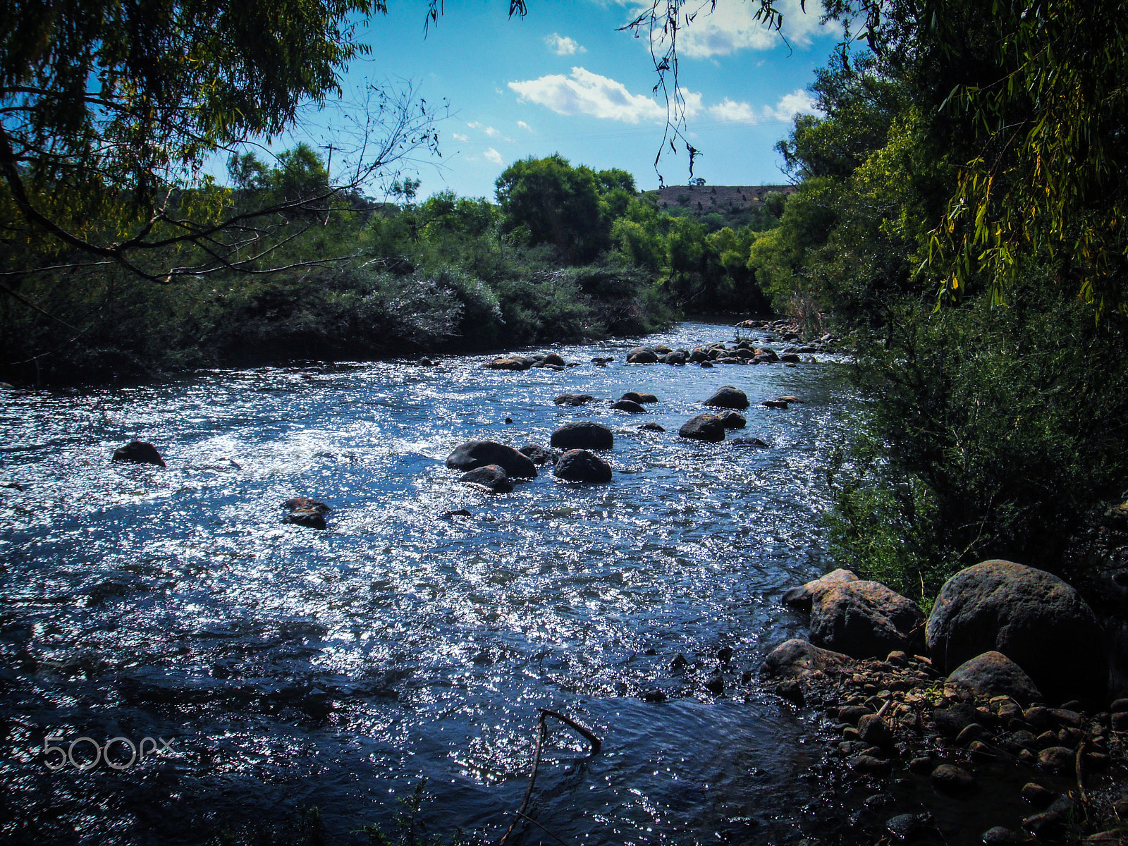 FujiFilm FinePix Z70 (FinePix Z71) sample photo. River surrounded with vegetation photography