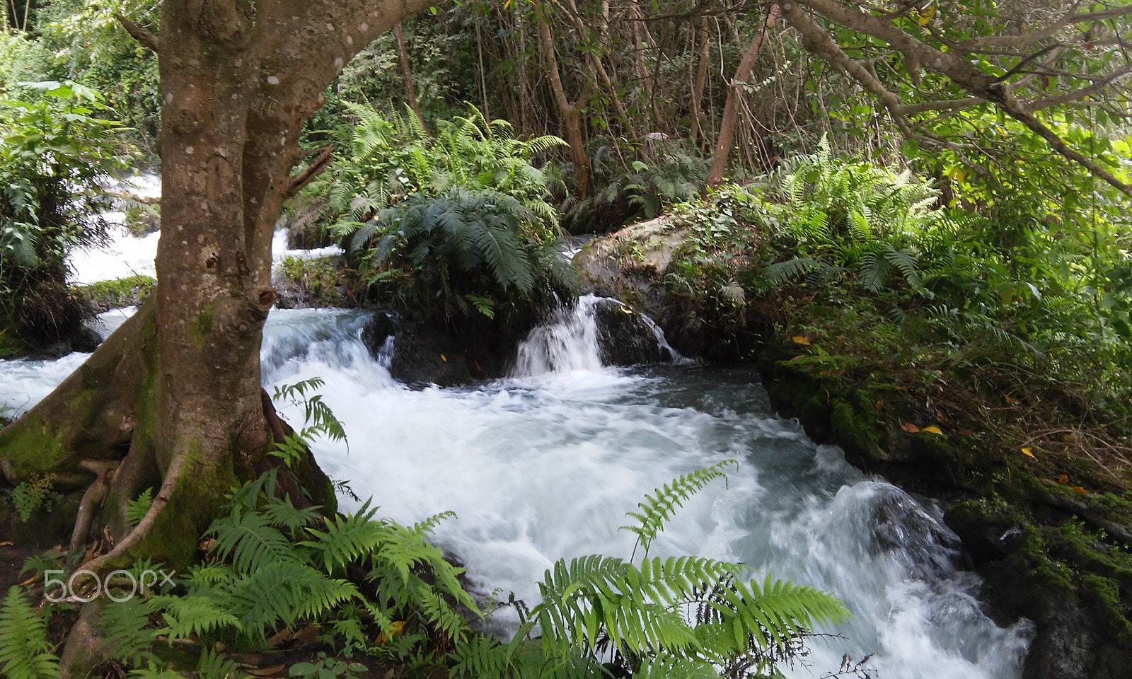 LG L70 sample photo. Fuerza en la quietud photography