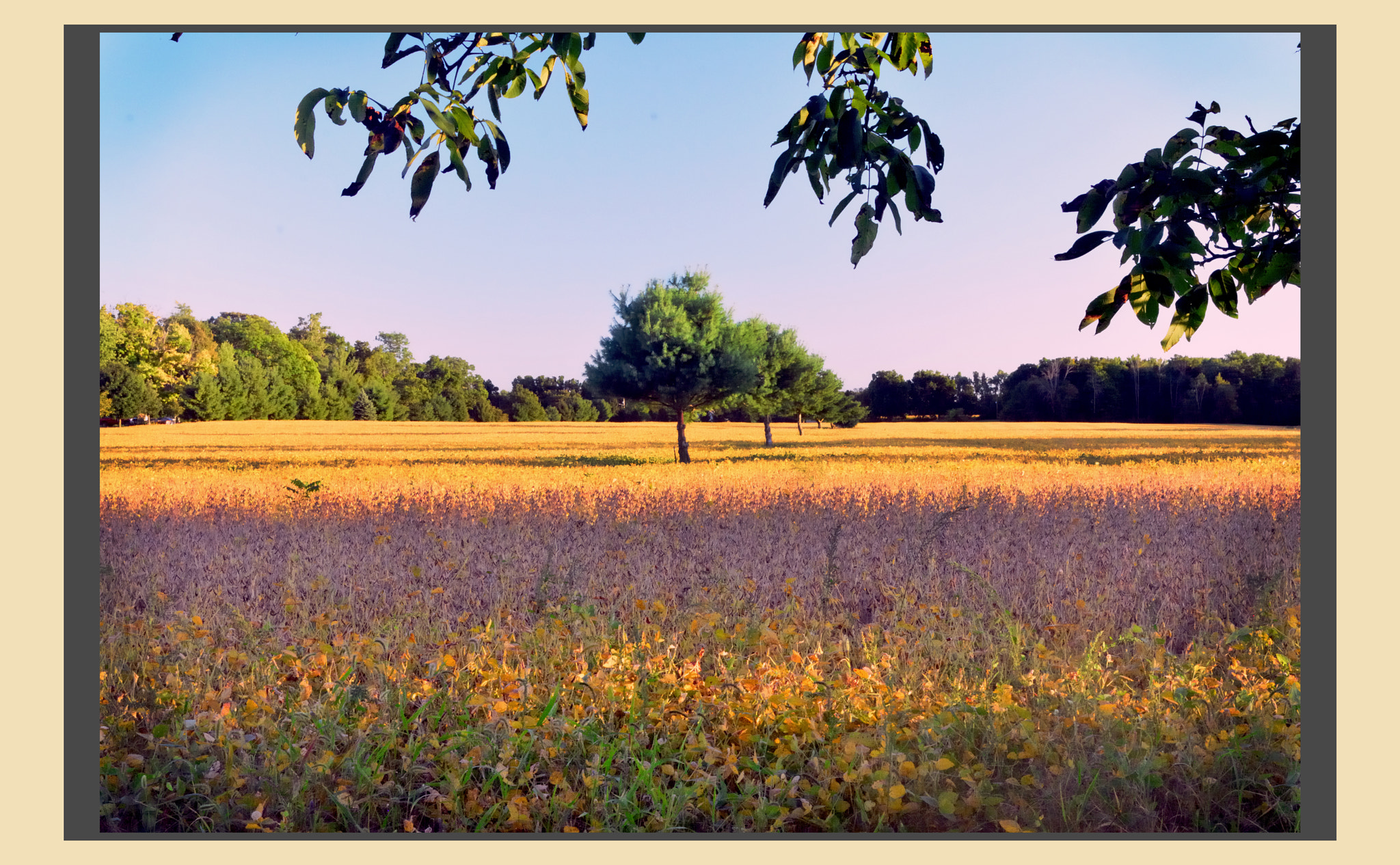 AF Zoom-Nikkor 24-50mm f/3.3-4.5D sample photo. Colors of a farm photography