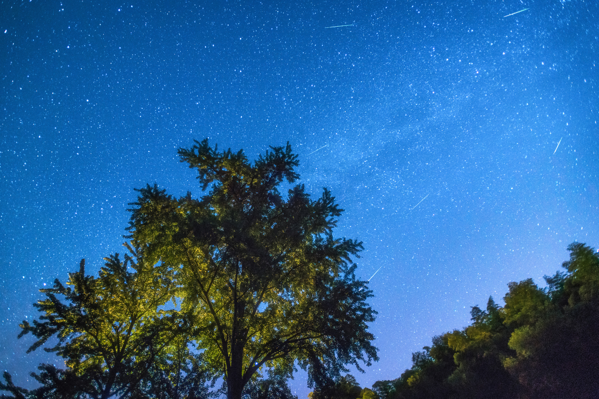 Nikon AF-S Nikkor 17-35mm F2.8D ED-IF sample photo. Meteor shower photography