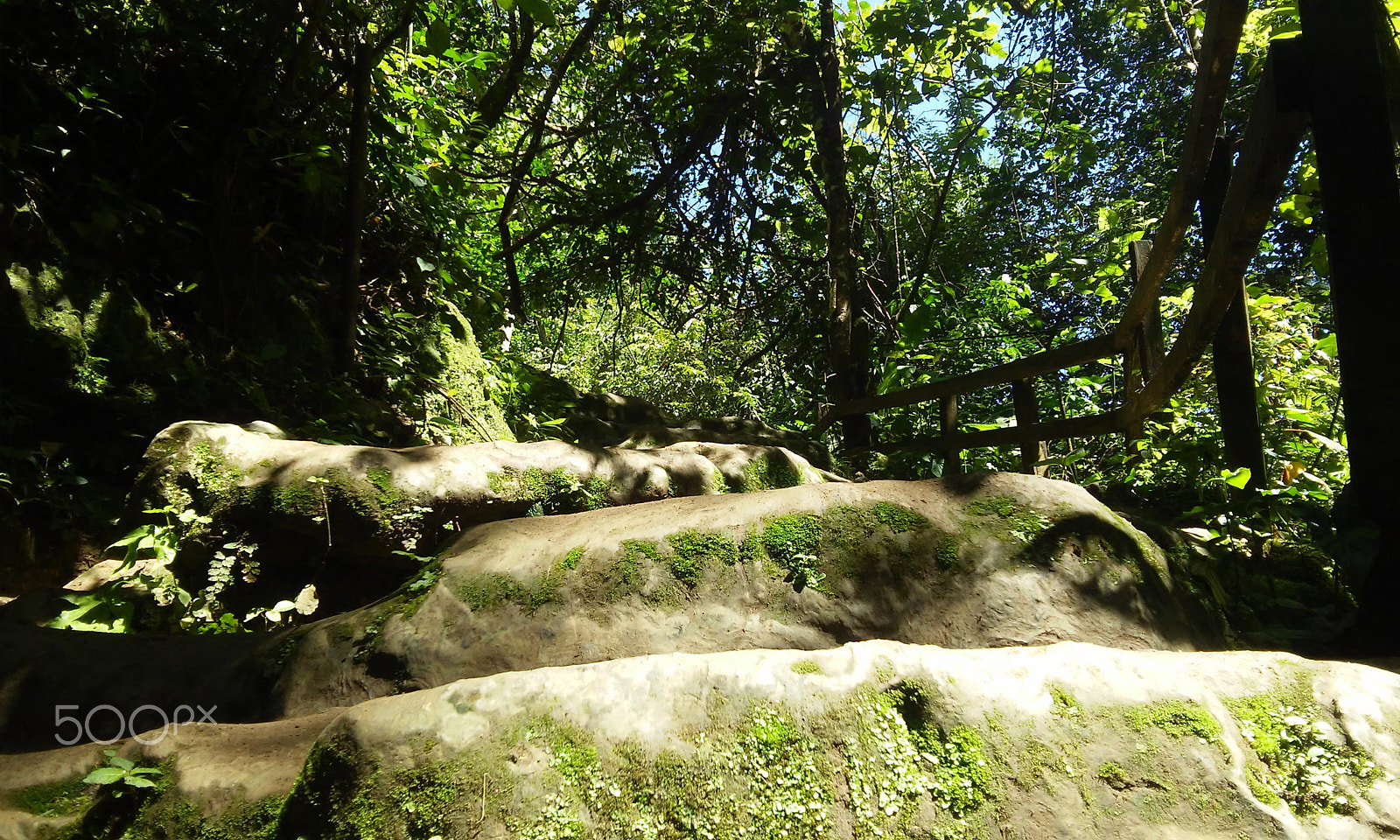 LG L70 sample photo. Puente de dios photography