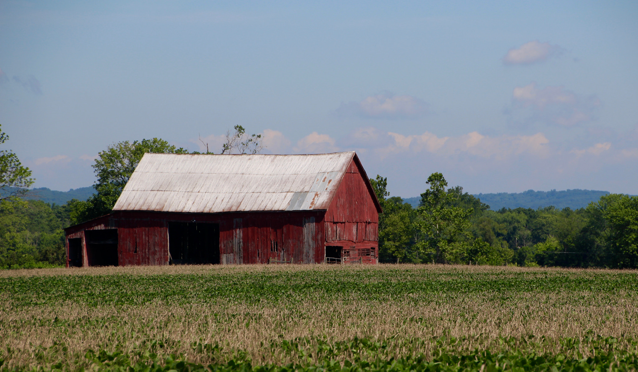 Canon EOS 100D (EOS Rebel SL1 / EOS Kiss X7) sample photo. Barns, butterflies and the washington monument photography