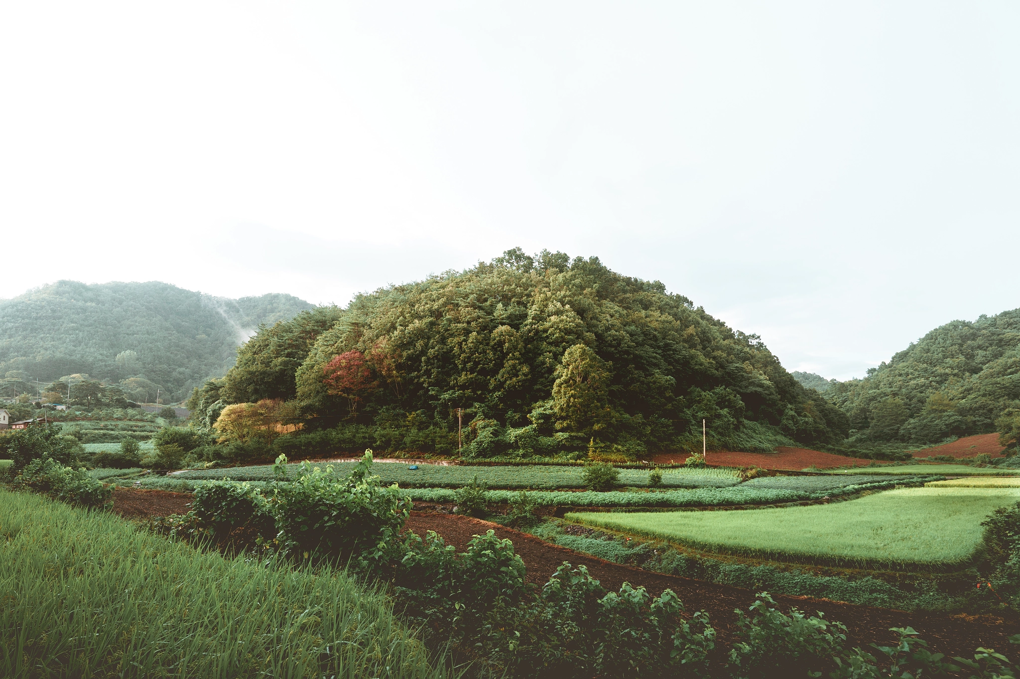 Sony a7 + ZEISS Batis 18mm F2.8 sample photo. Koreacountryside photography