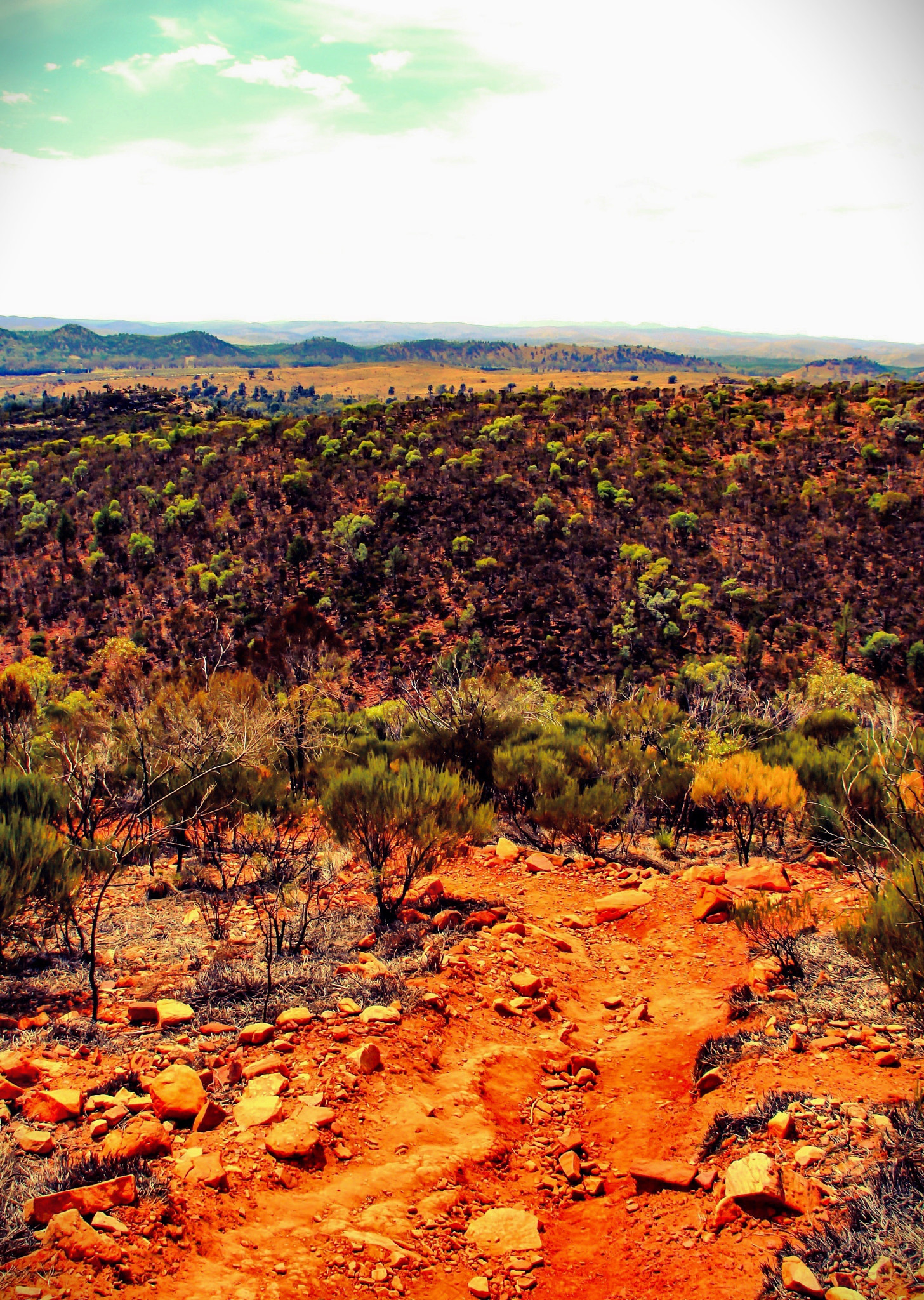 Canon 18-200mm sample photo. South australia photography