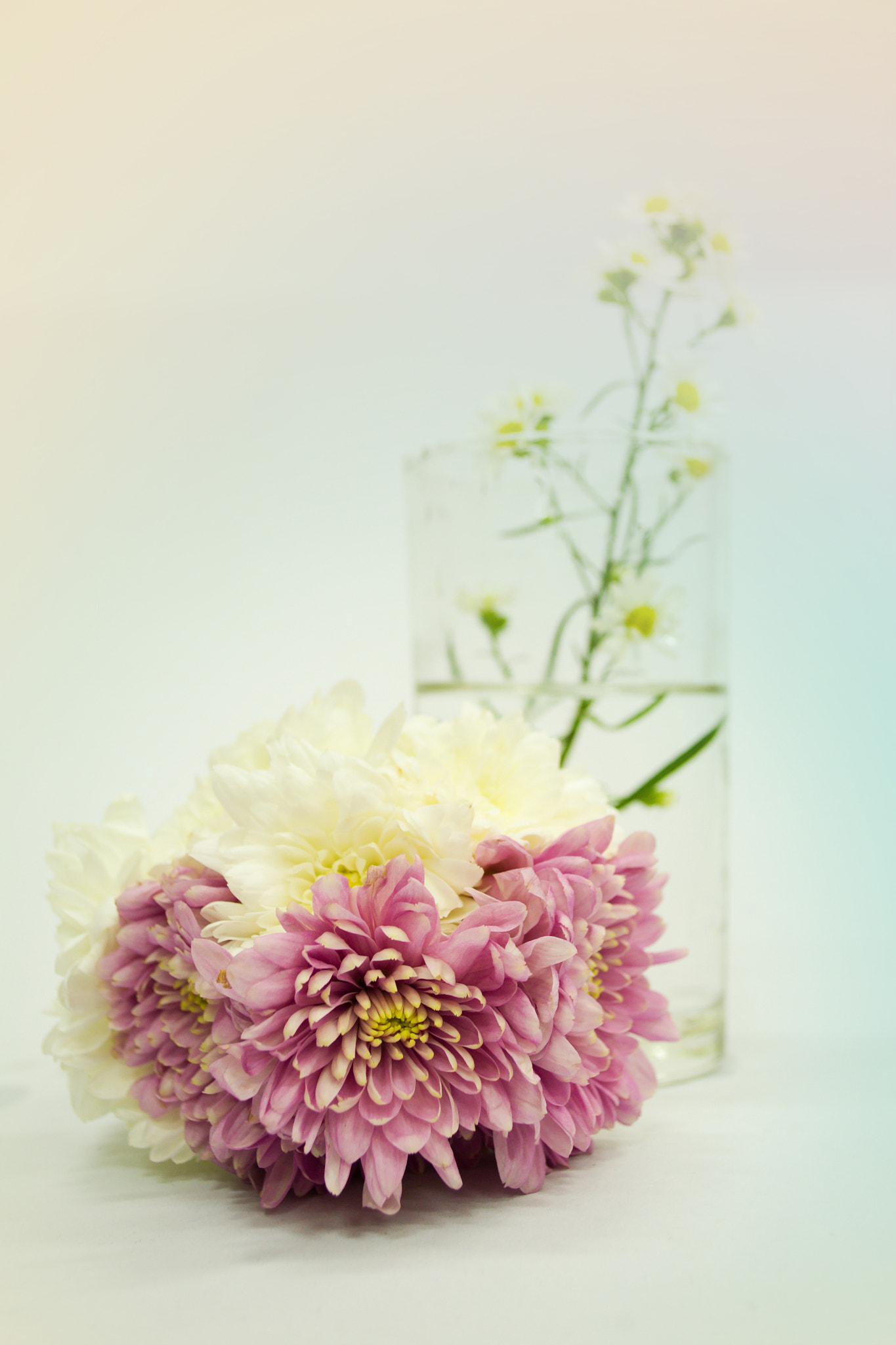 Nikon D3100 + 18.00 - 55.00 mm f/3.5 - 5.6 sample photo. Bouquet  in pastel photography