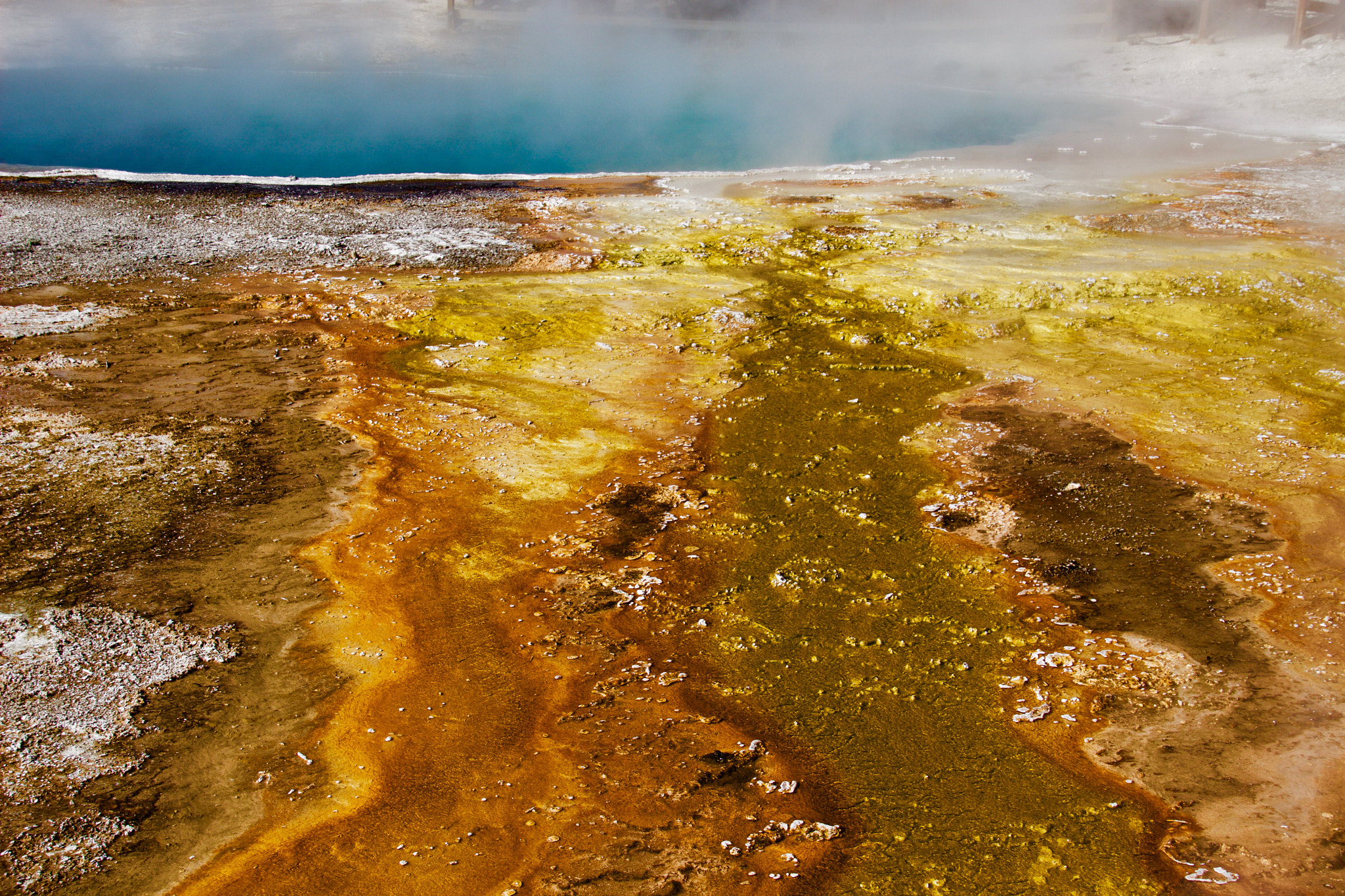Sigma 18-250mm F3.5-6.3 DC OS HSM sample photo. Bacteria coloring the water at grand prismatic spring. yellowstone national park. photography
