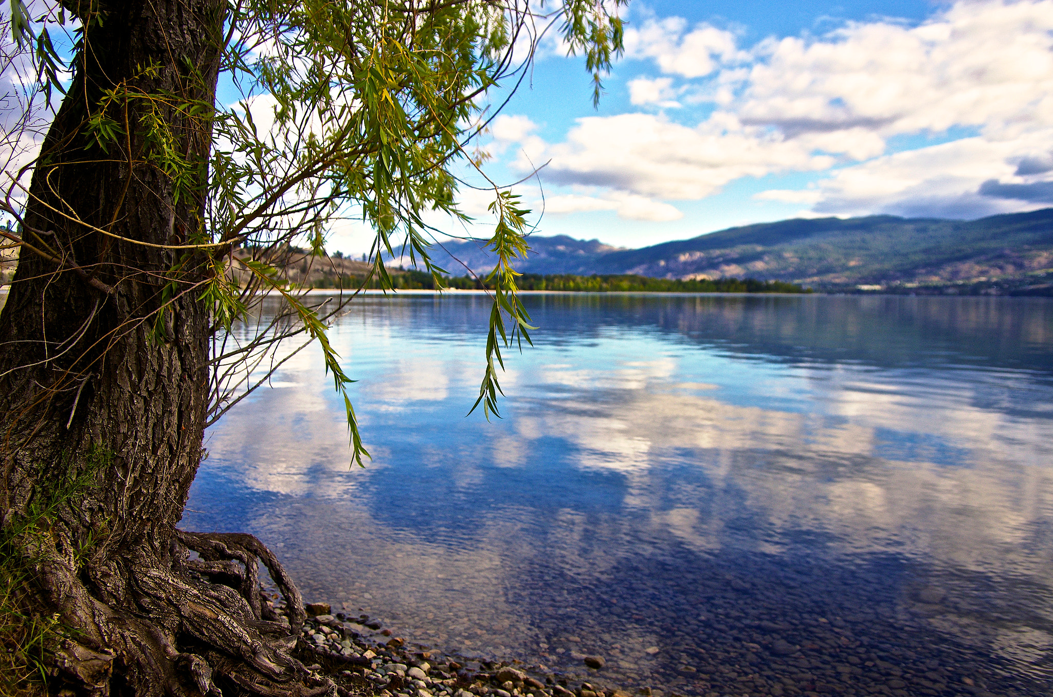 Pentax smc DA 16-45mm F4 ED AL sample photo. Willow by the lake photography