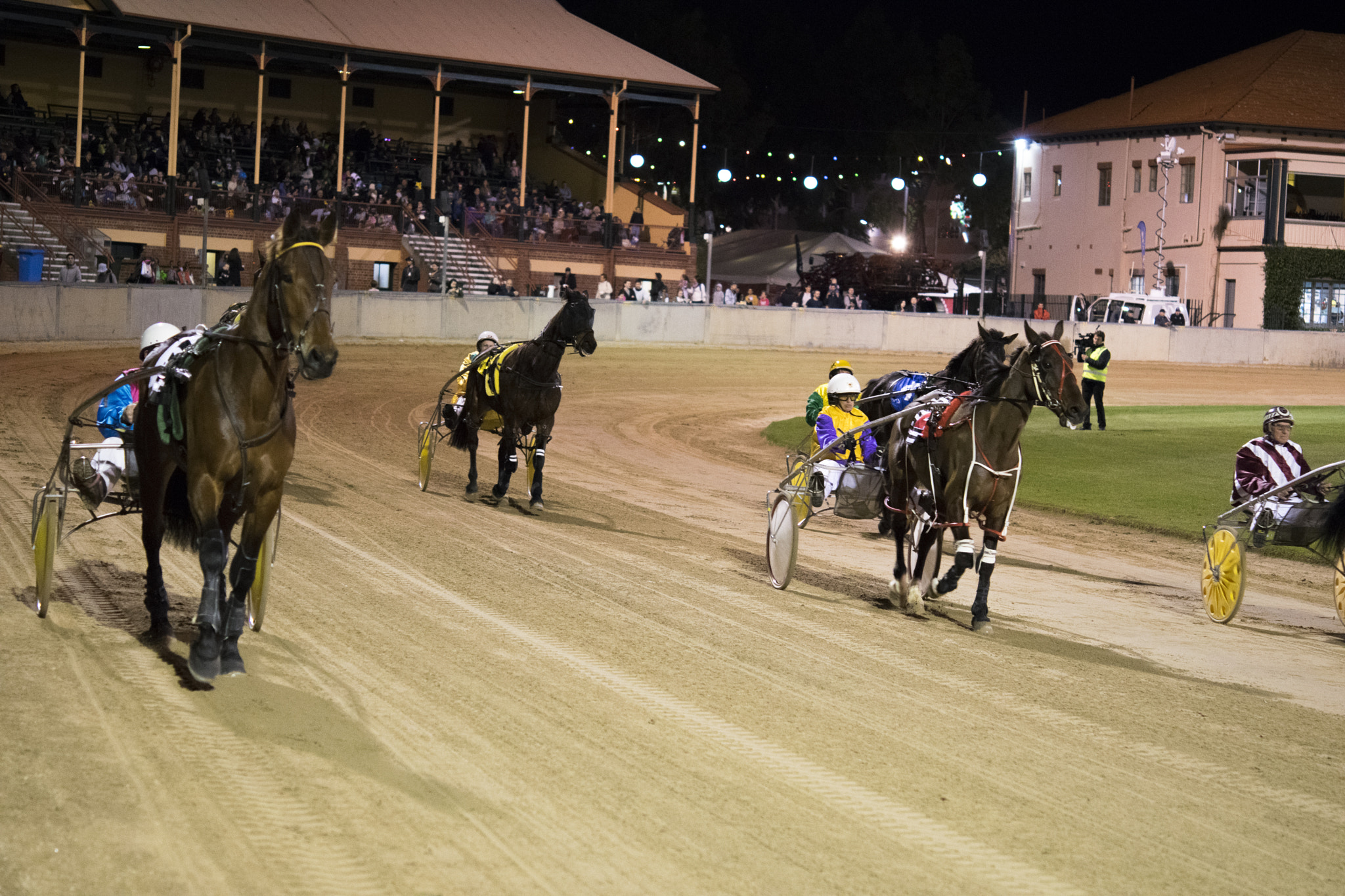 Nikon AF-S Micro-Nikkor 60mm F2.8G ED sample photo. Harness horse racing photography