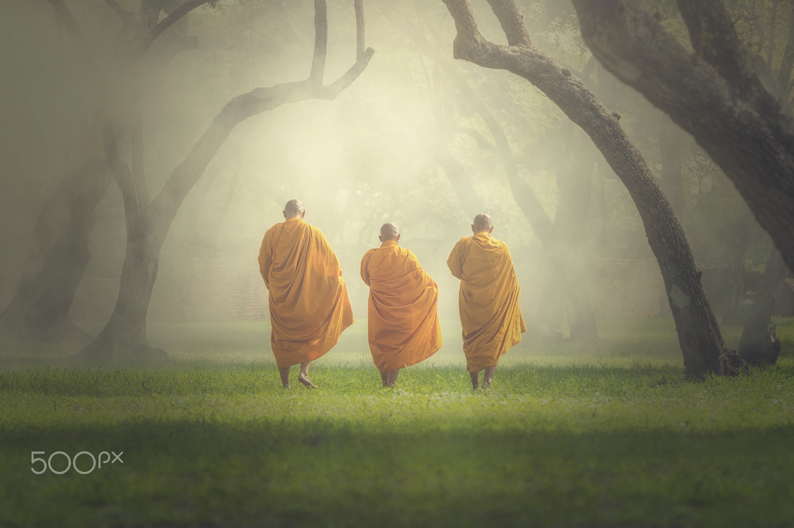 Pentax K-3 II sample photo. Monks hike in deep forest, buddha religion concept photography