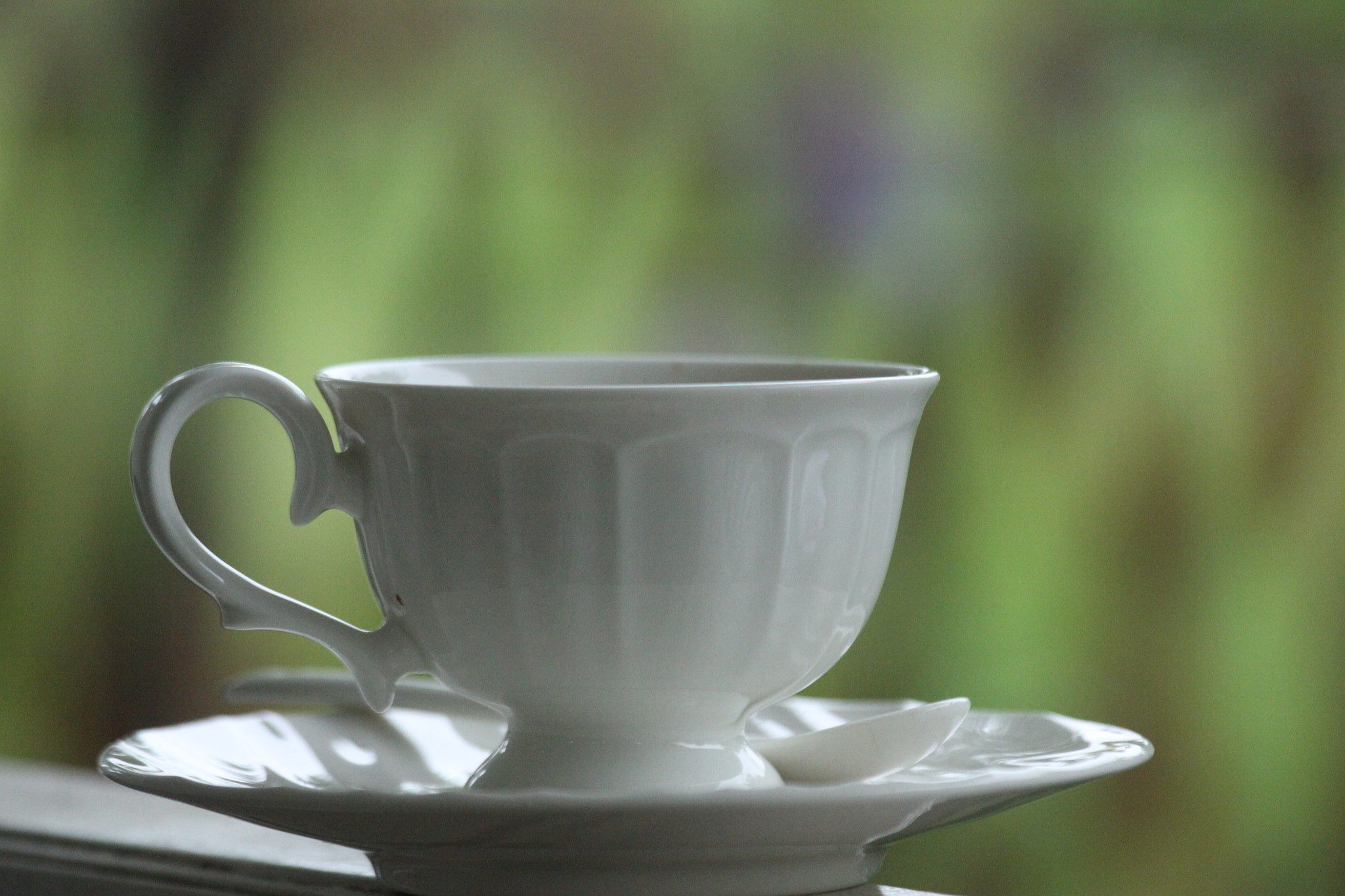 Canon EOS 50D + Canon EF 70-200mm F4L IS USM sample photo. Img photography