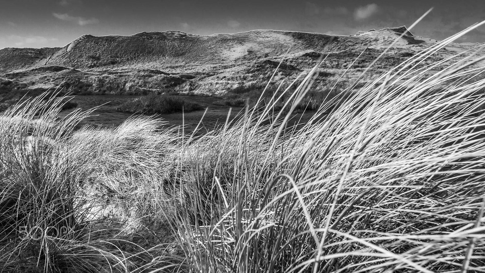 Olympus OM-D E-M5 + Panasonic Lumix G 14mm F2.5 ASPH sample photo. Wild dunes photography