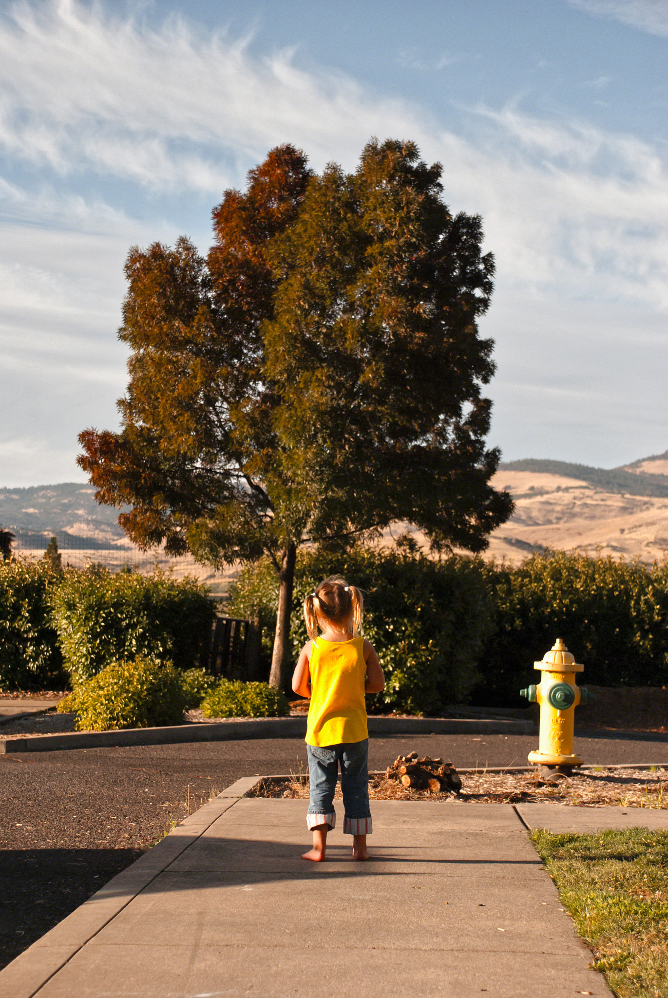 Nikon D3000 sample photo. The day before the last day of summer photography