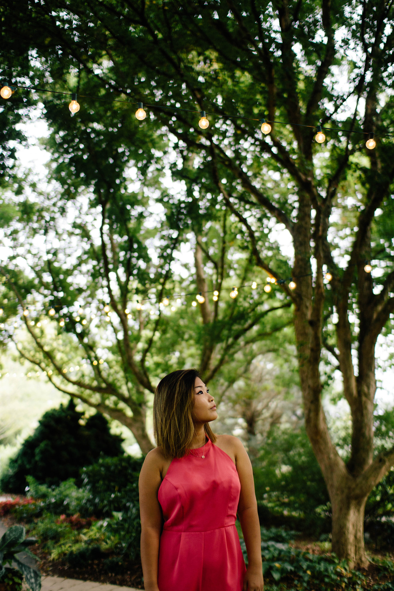 Sigma 30mm F1.4 EX DC HSM sample photo. Jungle lights photography