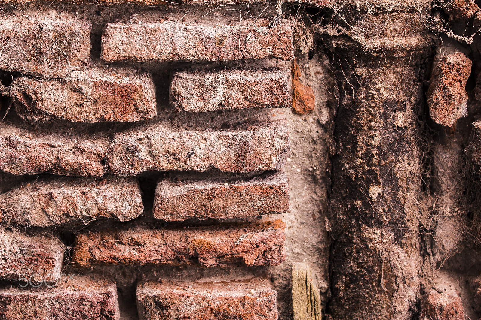 Canon EF 70-200mm F4L IS USM sample photo. Textures photography