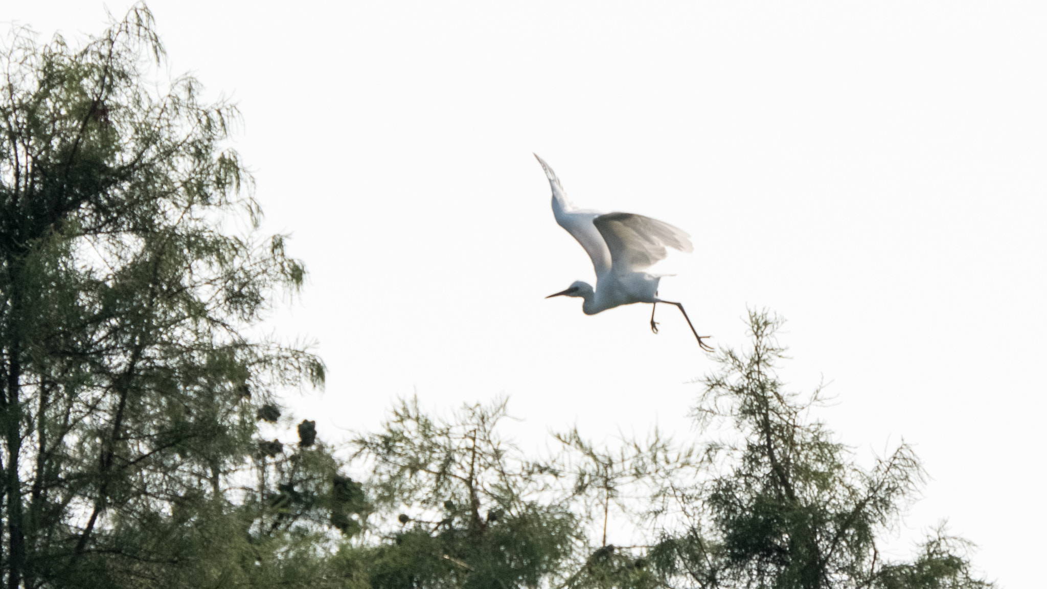 XF100-400mmF4.5-5.6 R LM OIS WR + 1.4x sample photo