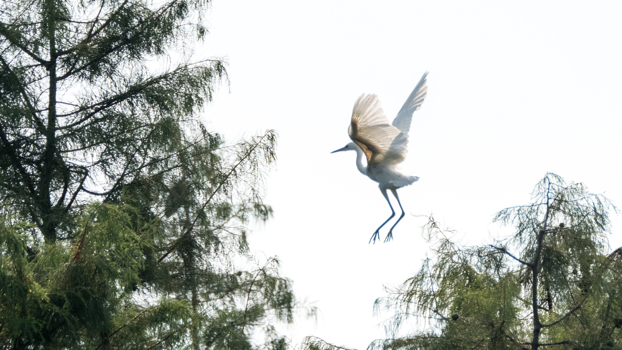 XF100-400mmF4.5-5.6 R LM OIS WR + 1.4x sample photo