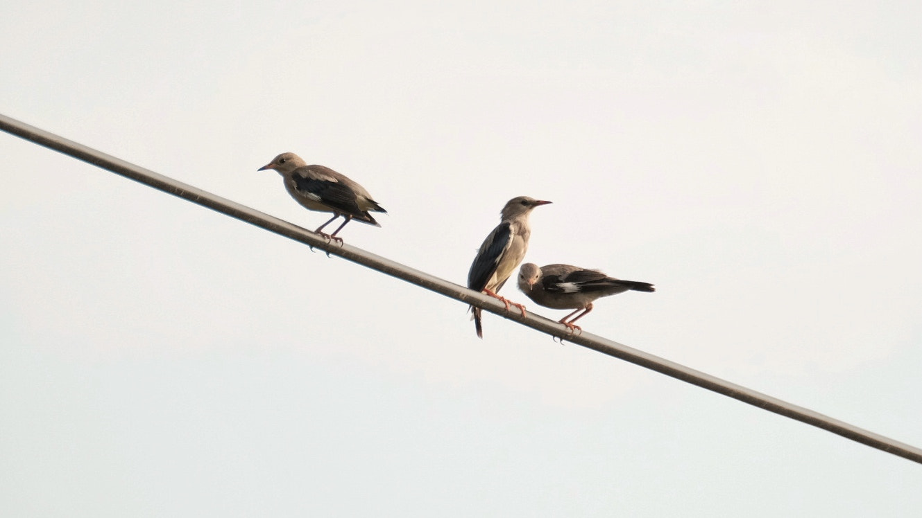 XF100-400mmF4.5-5.6 R LM OIS WR + 1.4x sample photo
