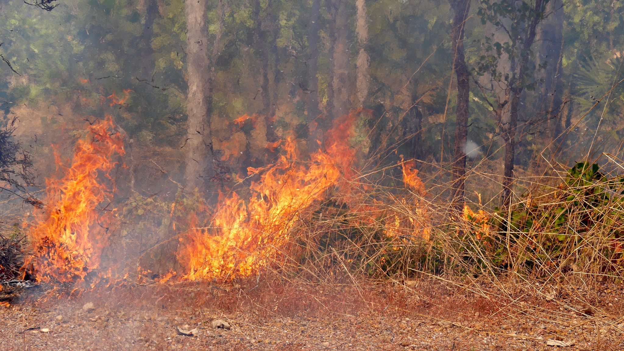 Panasonic Lumix DMC-GX7 sample photo. The heat is on aus burn photography